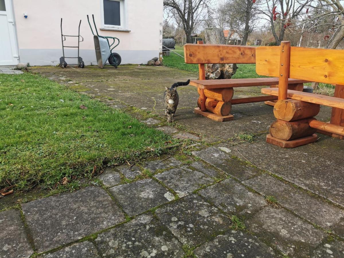 Вилла Wellness Oase Auf Dem Land Buttstadt Экстерьер фото